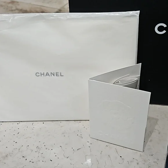 BNIB Chanel Denim 19 Flap - Picture 3 of 14